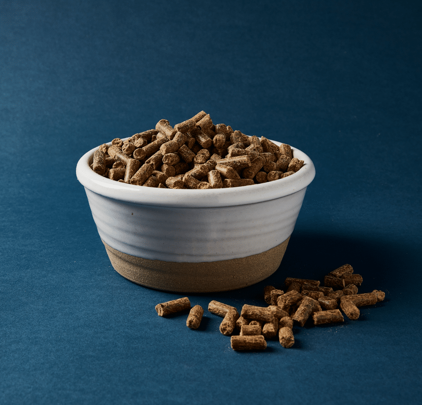 Cold pressed dog food usa