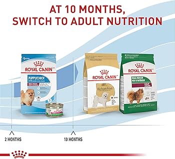 Best royal canin dog food