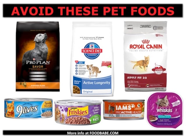 dog food brands to avoid