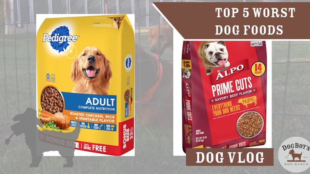 dog food brands to avoid