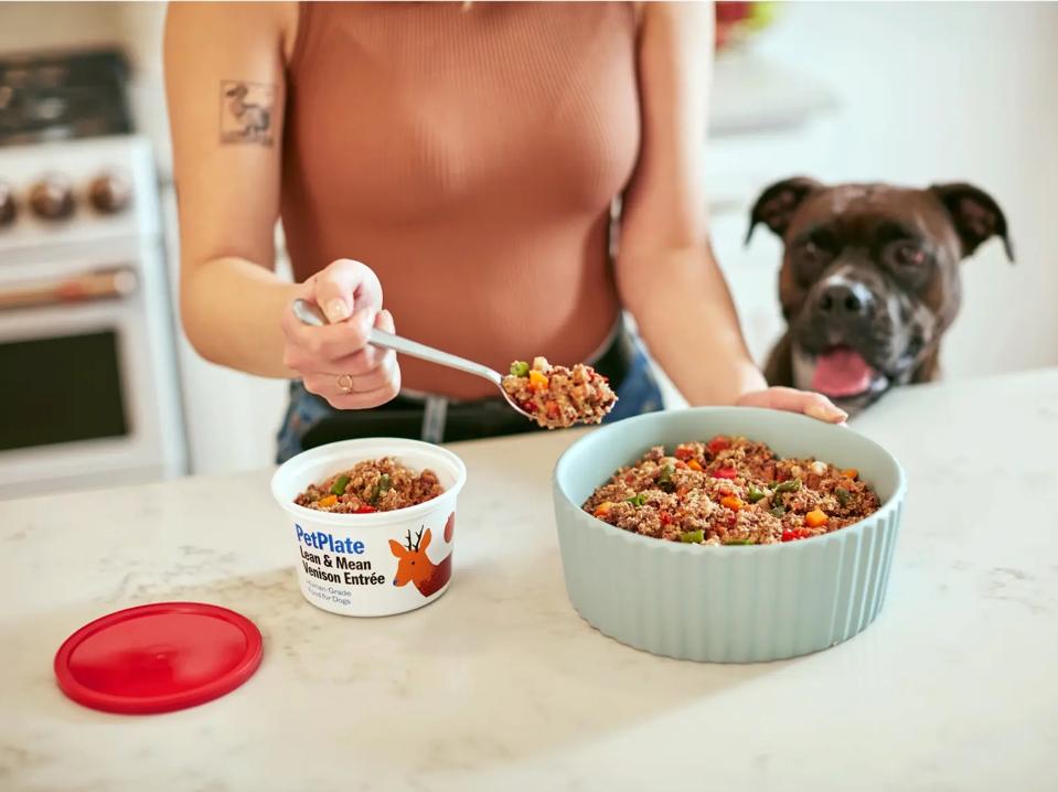 The 10 Very Best Dog Foods